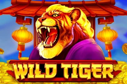 Wild Tiger - Slot BGaming | RTP N/A | MisterTopCasino
