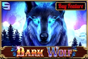 Dark Wolf - Slot Spinomenal | RTP N/A | MisterTopCasino