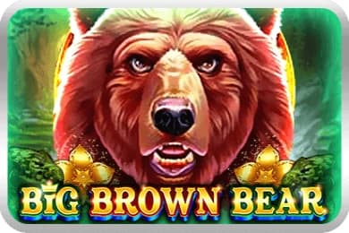 Big Brown Bear - Slot UU Slots | RTP N/A | MisterTopCasino