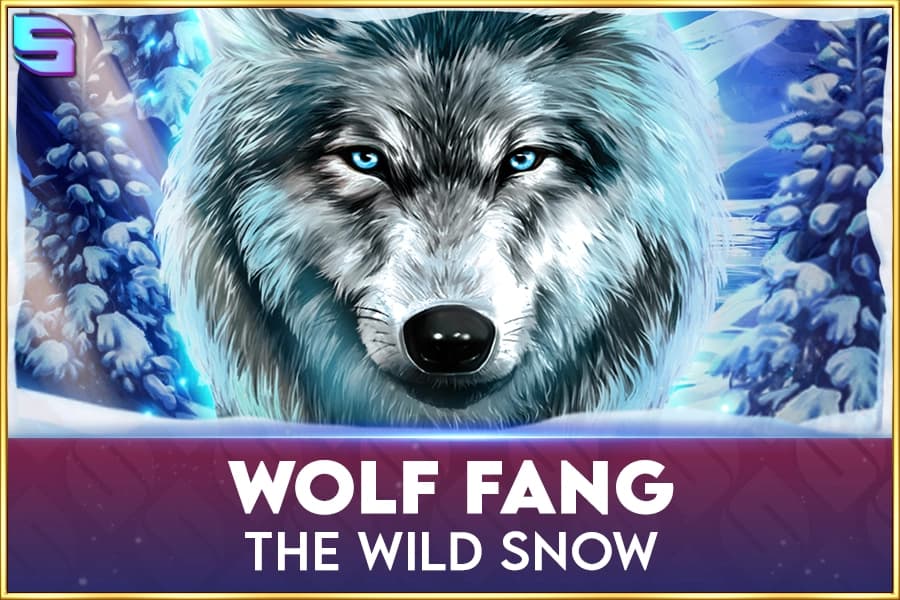 Wolf Fang The Wild Snow - Slot Spinomenal | RTP N/A | MisterTopCasino