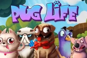 Pug Life - Slot Hacksaw Gaming | RTP 0.33% | MisterTopCasino