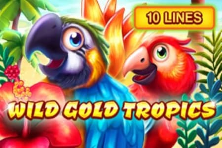 Wild Gold Tropics - Slot ABXplay | RTP N/A | MisterTopCasino