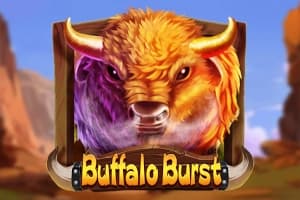 Buffalo Burst - Slot Dragoon Soft | RTP N/A | MisterTopCasino