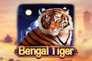 Bengal Tiger - Slot Dragoon Soft | RTP N/A | MisterTopCasino