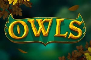 Owls - Slot Nolimit City | RTP N/A | MisterTopCasino