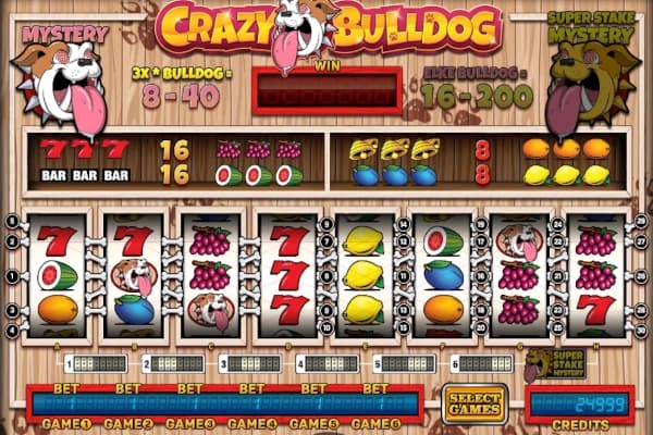 Crazy Bulldog - Slot Stakelogic | RTP N/A | MisterTopCasino