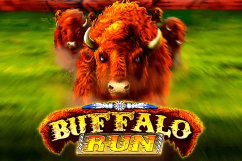 Buffalo Run - Slot GMW | RTP N/A | MisterTopCasino
