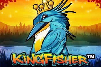 Kingfisher - Slot Wishbone | RTP N/A | MisterTopCasino