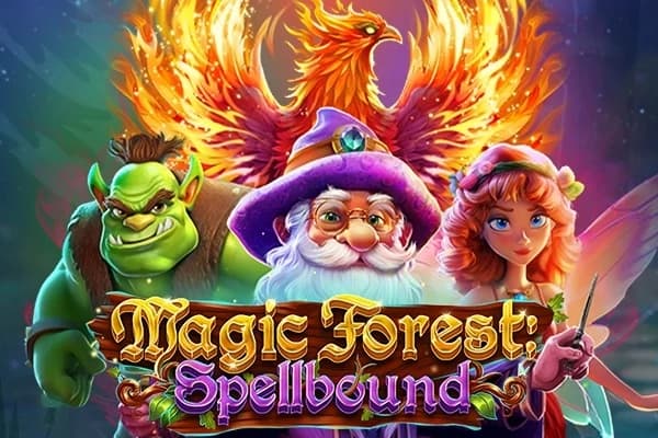 Magic Forest: Spellbound - Slot RTG | RTP N/A | MisterTopCasino