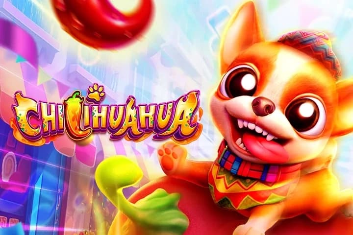 CHILIHUAHUA - Slot Fa Chai | RTP N/A | MisterTopCasino