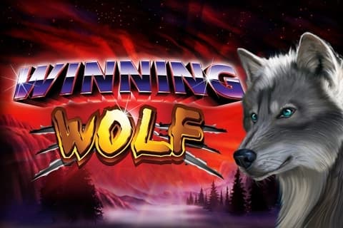 Winning Wolf - Slot Ainsworth | RTP 93.85% | MisterTopCasino