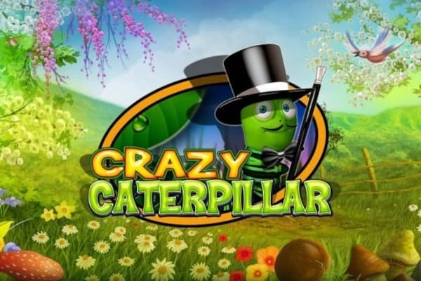Crazy Caterpillar - Slot CT Interactive | RTP N/A | MisterTopCasino