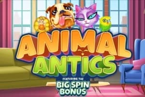 Animal Antics - Slot Inspired Gaming | RTP 95% | MisterTopCasino
