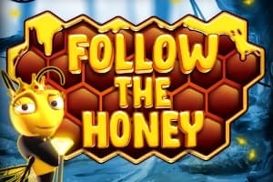 Follow the Honey - Slot Inspired Gaming | RTP 95% | MisterTopCasino