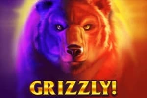 Grizzly - Slot Inspired Gaming | RTP 94.97% | MisterTopCasino