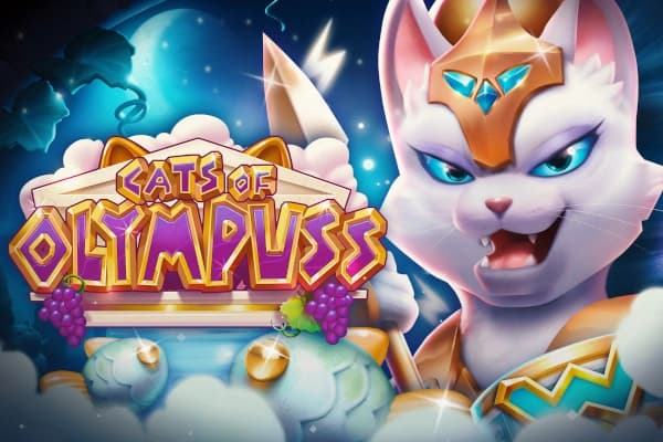 Cats of Olympuss - Slot Push Gaming | RTP 94.29% | MisterTopCasino
