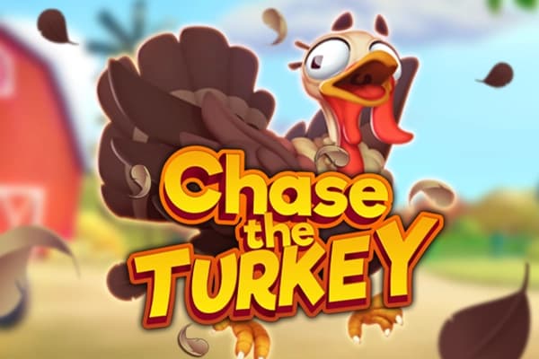 Chase the Turkey - Slot Dragon Gaming | RTP N/A | MisterTopCasino