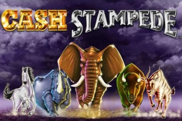 Cash Stampede - Slot Light & Wonder | RTP N/A | MisterTopCasino