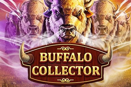 Buffalo Collector - Slot Red Tiger Gaming | RTP N/A | MisterTopCasino
