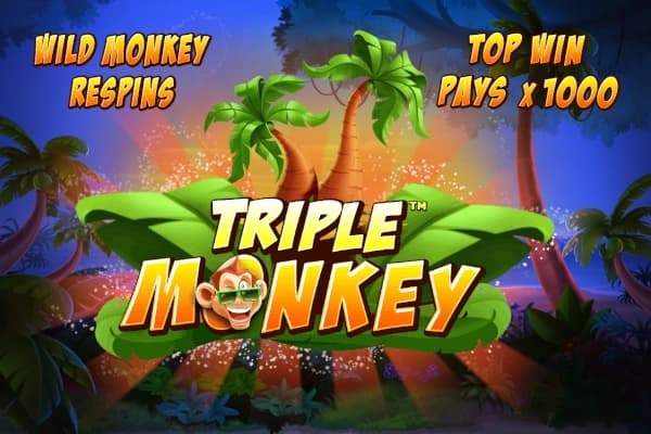 Triple Monkey - Slot Skywind | RTP N/A | MisterTopCasino