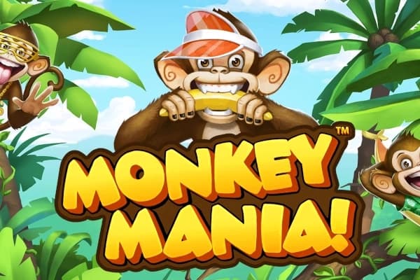 Monkey Mania - Slot Playtech | RTP N/A | MisterTopCasino