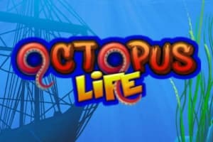 Octopus Life - Slot PopOK Gaming | RTP N/A | MisterTopCasino