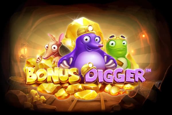Bonus Digger - Slot Skywind | RTP N/A | MisterTopCasino