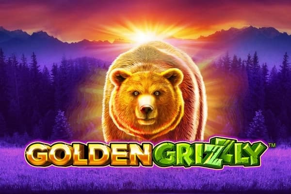 Golden Grizzly - Slot Skywind | RTP N/A | MisterTopCasino