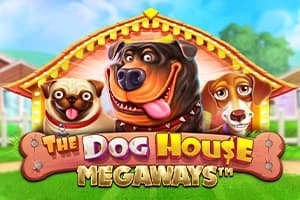 The Dog House Megaways - Slot Pragmatic Play | RTP N/A | MisterTopCasino