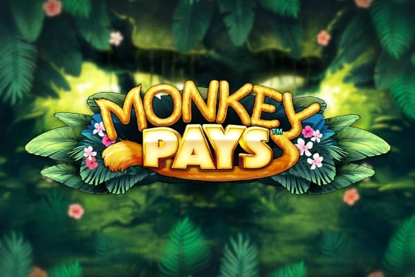 Monkey Pays - Slot Skywind | RTP N/A | MisterTopCasino
