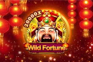 Wild Fortune - Slot Victory Ark | RTP N/A | MisterTopCasino