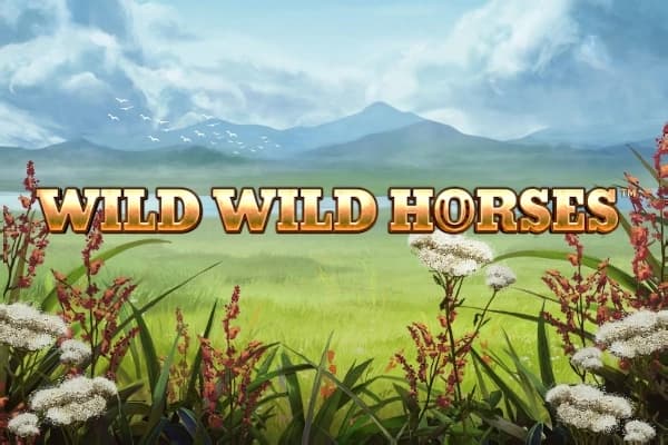 Wild Wild Horses - Slot Stakelogic | RTP N/A | MisterTopCasino