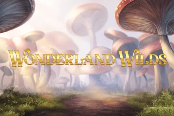 Wonderland Wilds - Slot Stakelogic | RTP N/A | MisterTopCasino