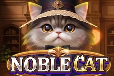 Noble Cat - Slot KA Gaming | RTP N/A | MisterTopCasino