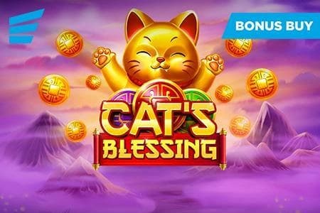 Cat's Blessing - Slot Evoplay | RTP N/A | MisterTopCasino