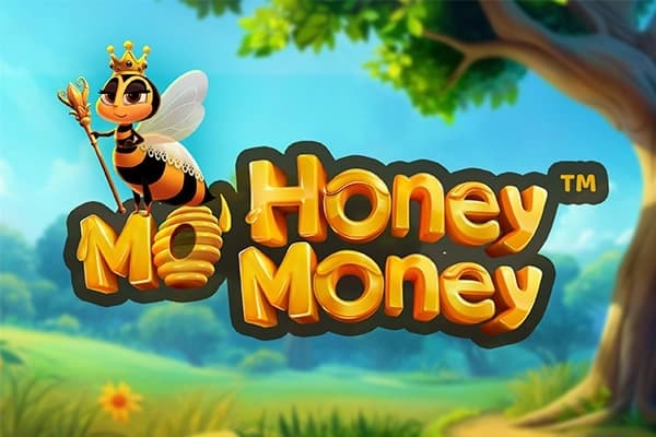 Mo' Honey Mo' Money - Slot Dragon Gaming | RTP N/A | MisterTopCasino