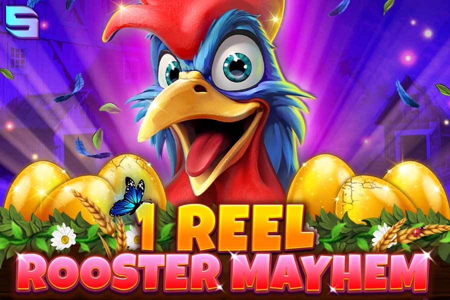 1 Reel Rooster Mayhem - Slot Spinomenal | RTP N/A | MisterTopCasino