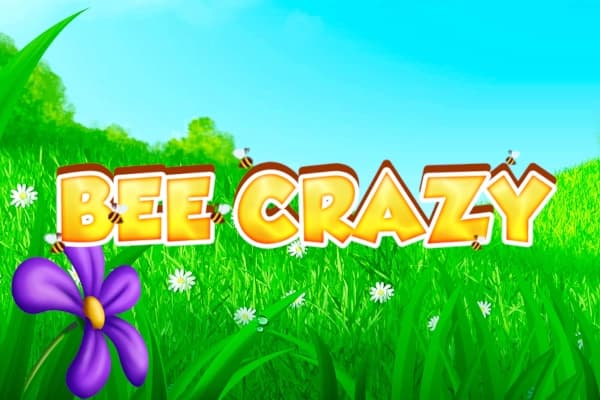 Bee Crazy - Slot WorldMatch | RTP N/A | MisterTopCasino
