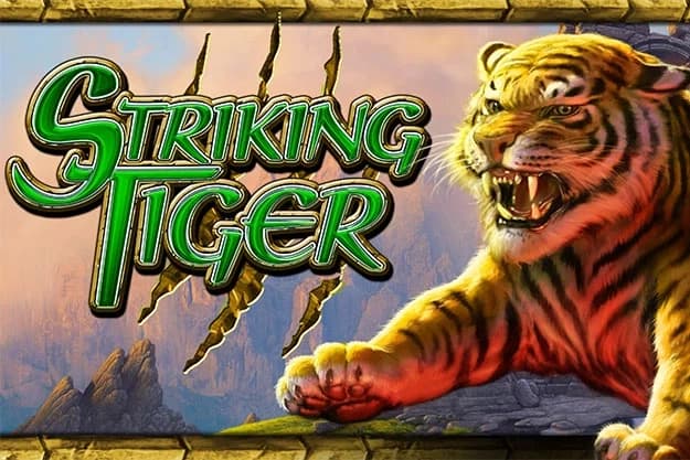Striking Tiger - Slot High 5 Games | RTP 96.5% | MisterTopCasino
