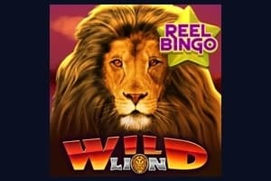 Wild Lion with Reel Bingo - Slot Ready Play Gaming | RTP 95.17% | MisterTopCasino