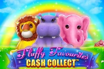 Fluffy Favourites Cash Collect - Slot Playtech | RTP 95.67% | MisterTopCasino
