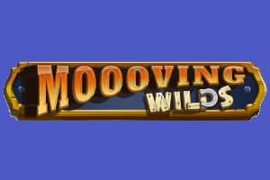 Moooving Wilds - Slot TRUE LABS | RTP N/A | MisterTopCasino
