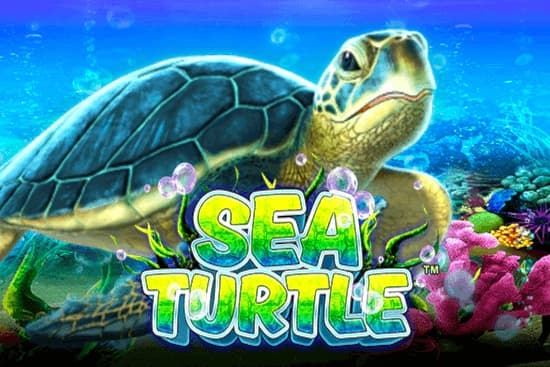 Sea Turtle - Slot GMW | RTP N/A | MisterTopCasino