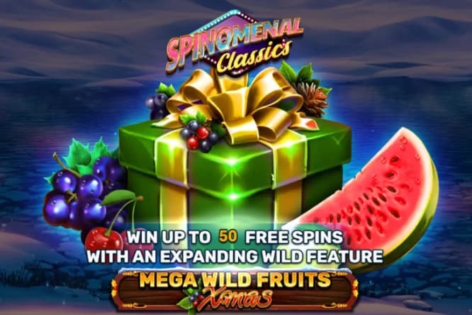 Mega Wild Fruits - Xmas - Slot Spinomenal | RTP N/A | MisterTopCasino