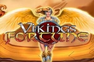 Vikings Fortune - Slot WMG | RTP N/A | MisterTopCasino
