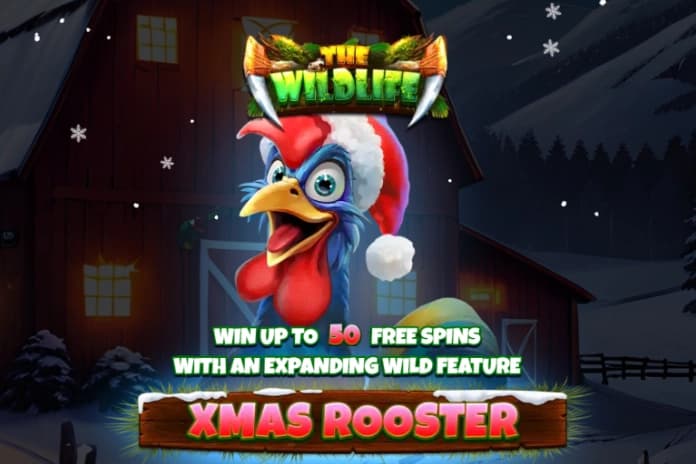 Xmas Rooster - Slot Spinomenal | RTP N/A | MisterTopCasino