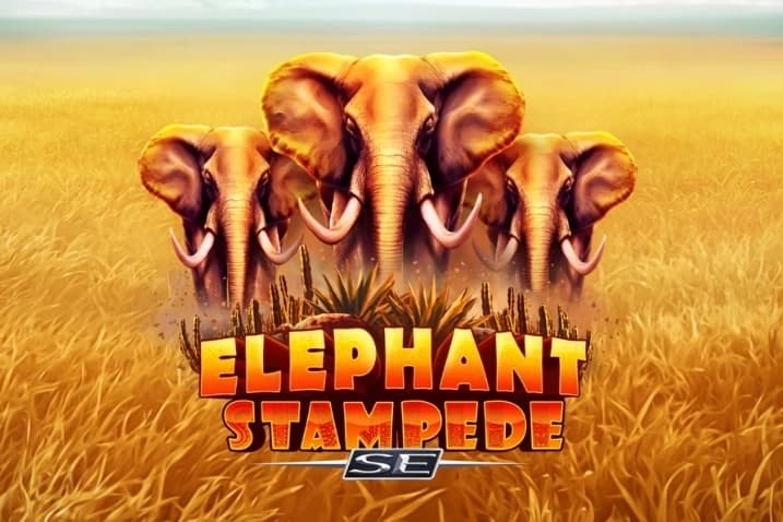 Elephant Stampede SE - Slot RubyPlay | RTP N/A | MisterTopCasino