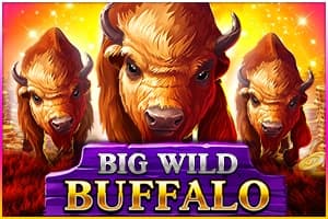 Big Wild Buffalo - Slot Belatra | RTP N/A | MisterTopCasino