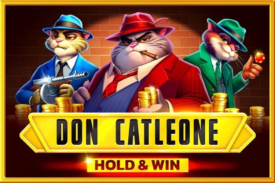 Don Catleone Hold & Win - Slot 1spin4win | RTP 97.1% | MisterTopCasino