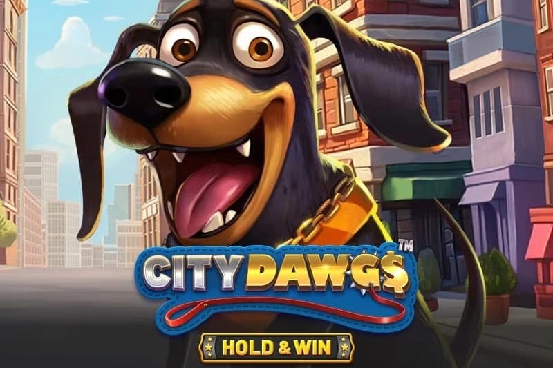 City Dawgs - Hold & Win - Slot Betsoft | RTP N/A | MisterTopCasino